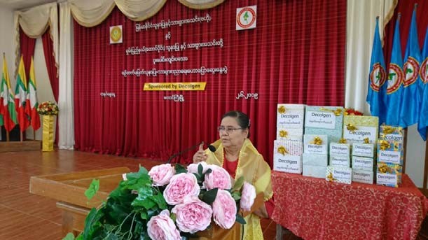 Continuing Nursing and Midwifery Education Conference Taunggyi